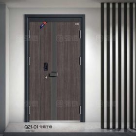 加高門頭系列Q21-01勁霸子母