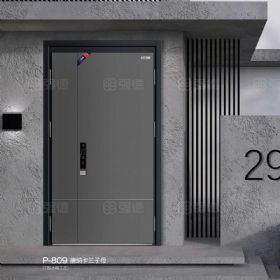 T型冰箱工藝門系列P-809-唐納卡蘭子母