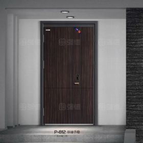 T型冰箱工藝門系列P-812芬迪子母