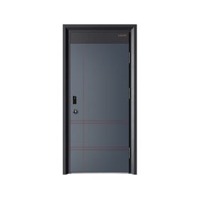 強德新派入戶門P-8016未來