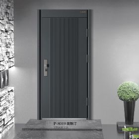 強德新派入戶門P-8019奧斯汀